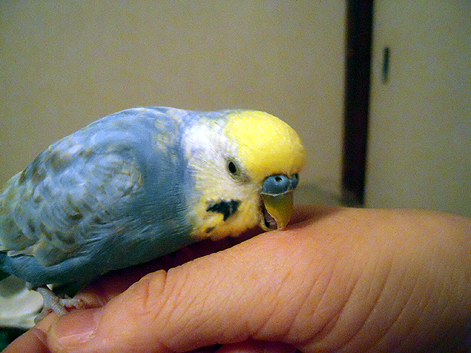 d0131293_13302150.jpg