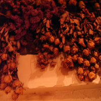 e0093096_21493121.jpg