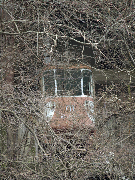 b0075797_14253738.jpg