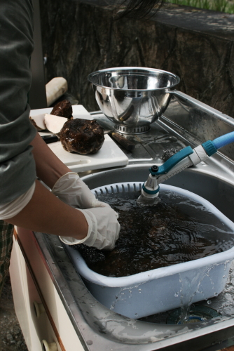 c0129498_054460.jpg