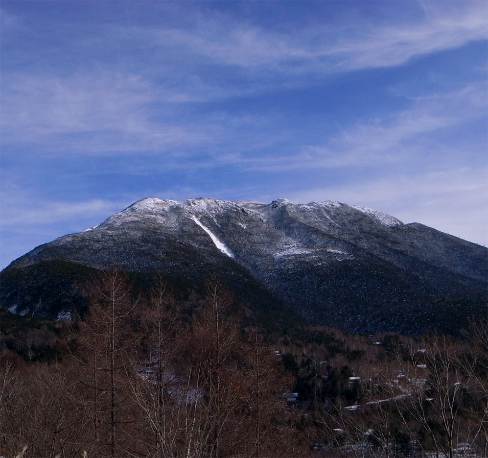 f0108399_1772947.jpg