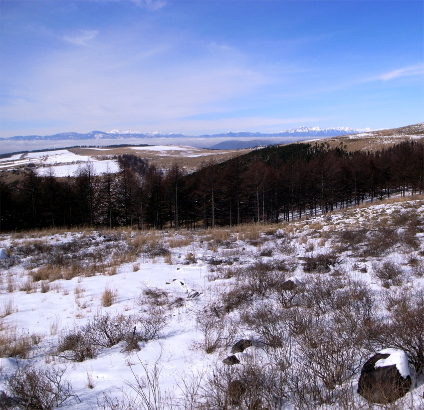 f0108399_1781819.jpg