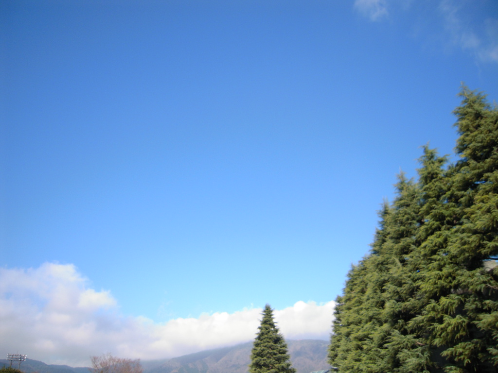 c0132608_22145214.jpg