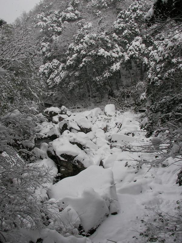 d0085309_2317564.jpg