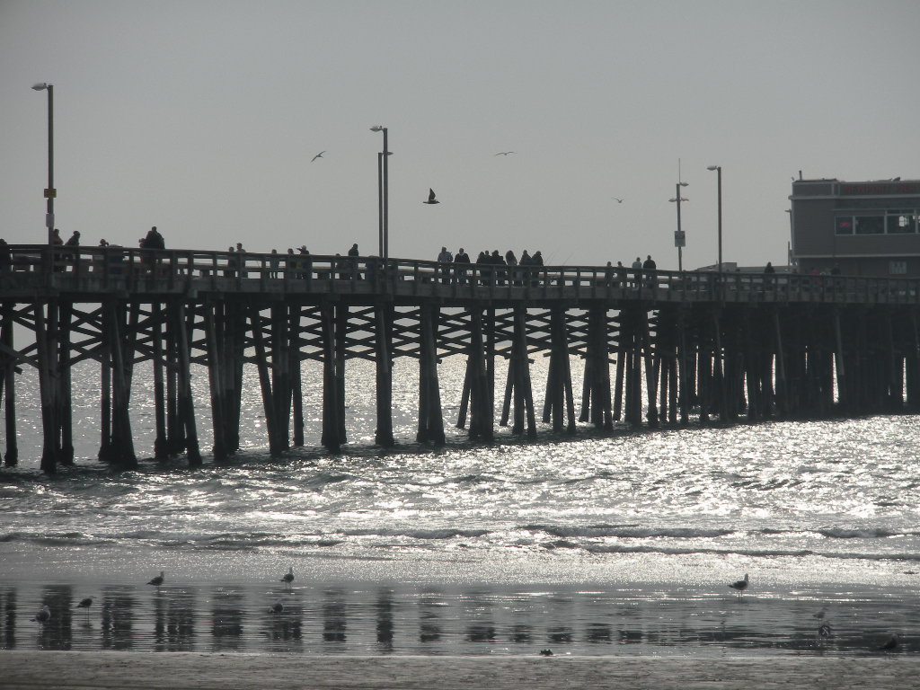 a0144811_948497.jpg