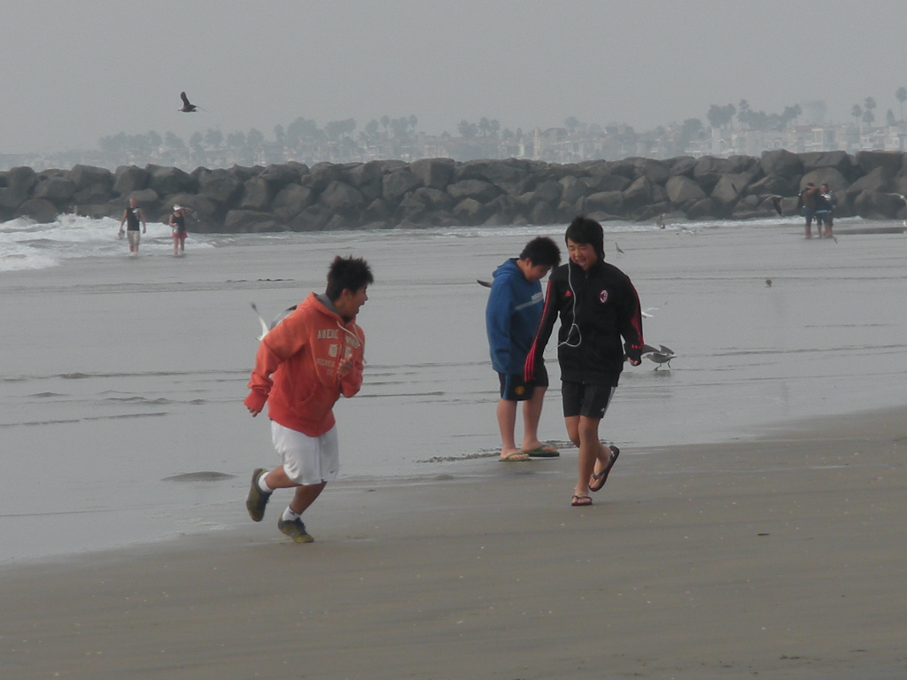 a0144811_9492283.jpg