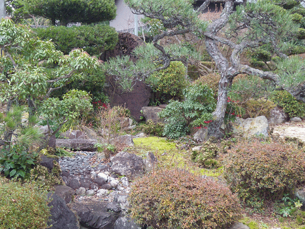 b0159611_21274347.gif