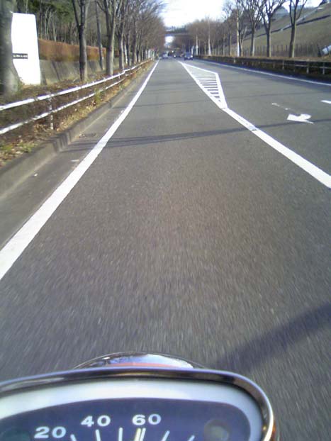 c0083518_8444519.jpg