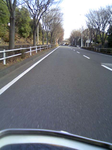 c0083518_845080.jpg
