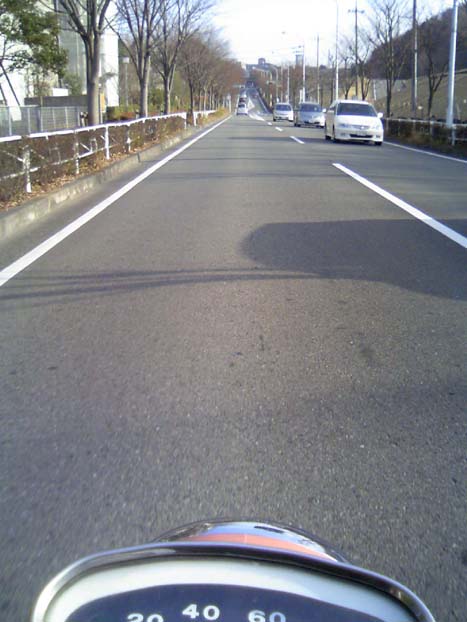 c0083518_845829.jpg