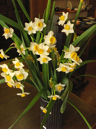 f0197821_173855.jpg