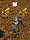c0135226_2022185.gif