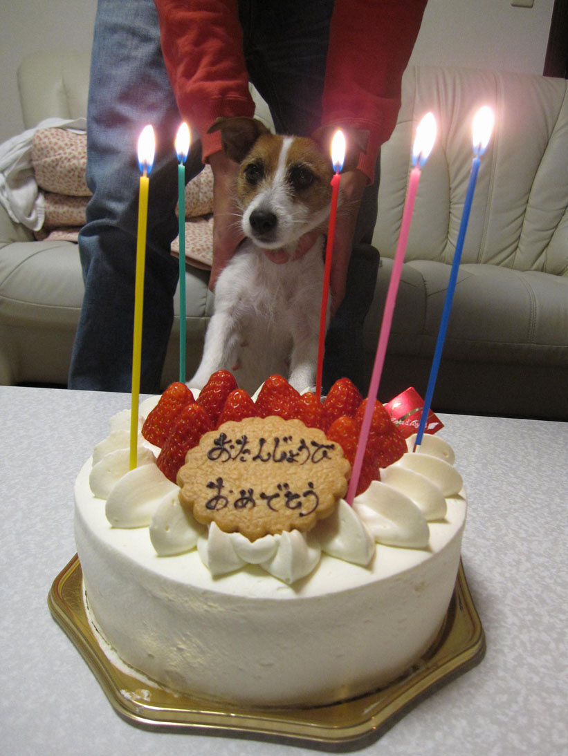 b0188228_215755100.jpg