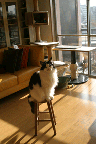 e0197028_23404693.gif