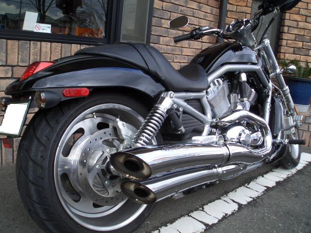 a0099129_1644893.jpg