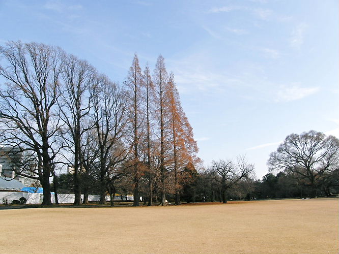 a0126632_915199.jpg