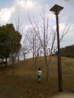 c0100534_2040573.jpg