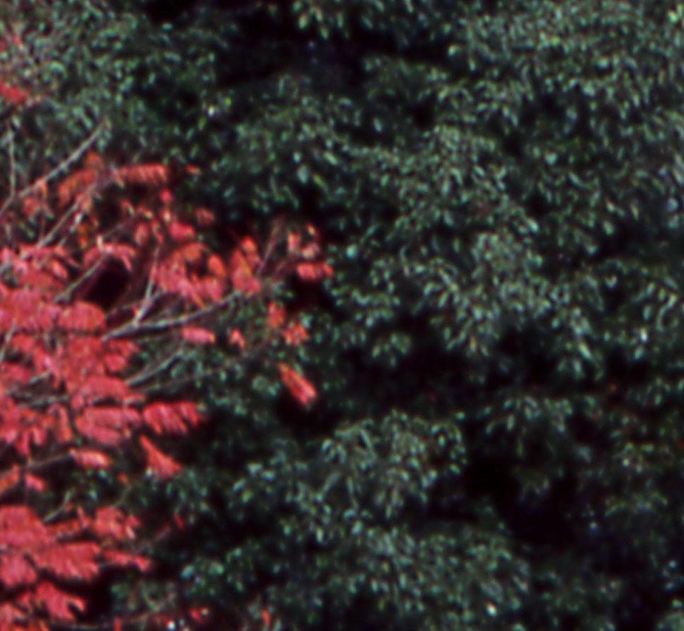 e0168342_1194871.jpg