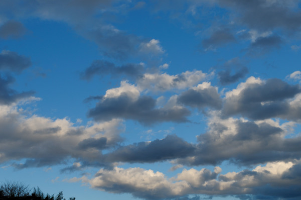 b0036743_22581248.jpg