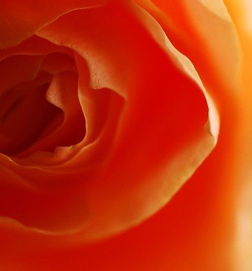 e0009147_2014823.jpg
