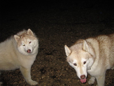 e0121548_21402241.jpg