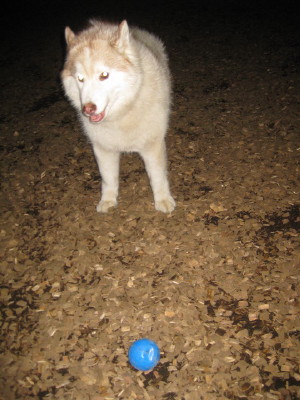 e0121548_21435271.jpg