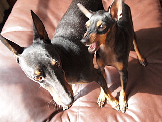 c0123149_10552867.jpg