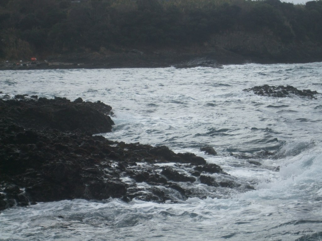 c0019951_22124923.jpg