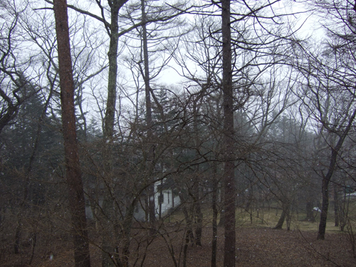 b0045357_13421554.jpg