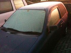 f0201157_238161.jpg