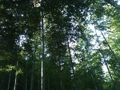 f0201157_240339.jpg