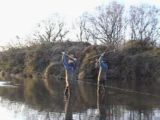 f0084561_15143739.gif