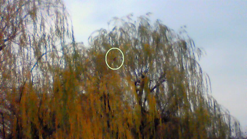 d0120665_21225940.jpg
