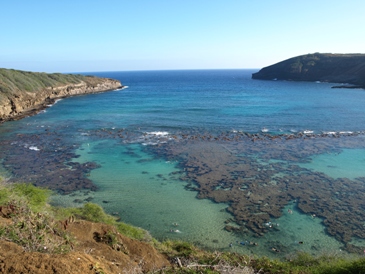 c0102268_15592370.jpg
