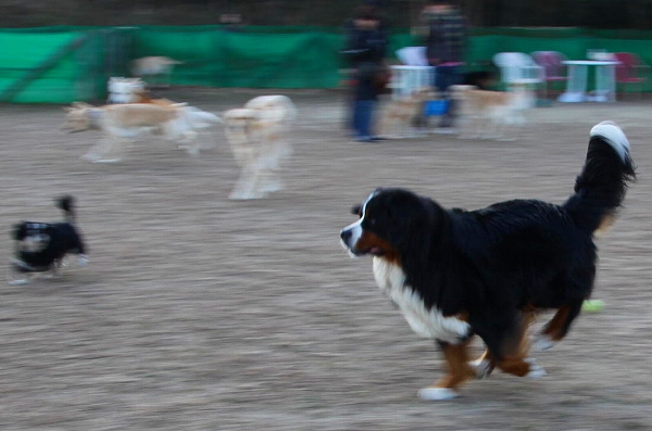c0149178_19161440.jpg
