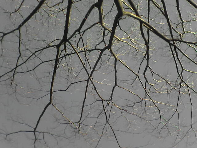 c0069380_12423366.jpg