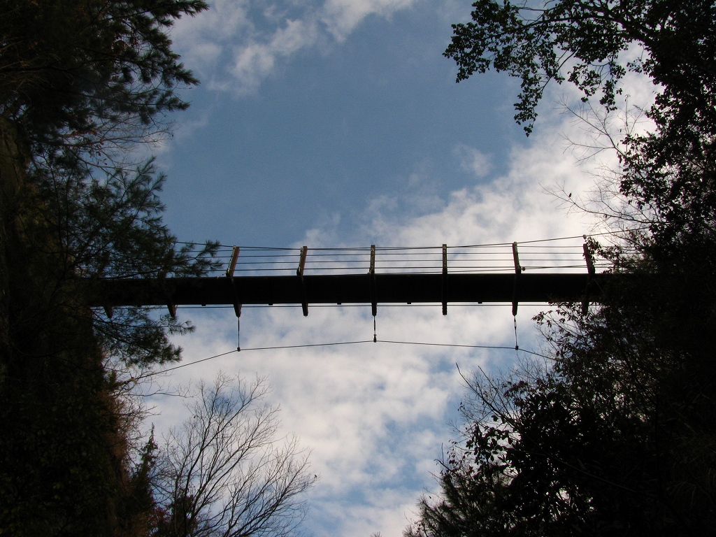 e0024081_1812986.jpg