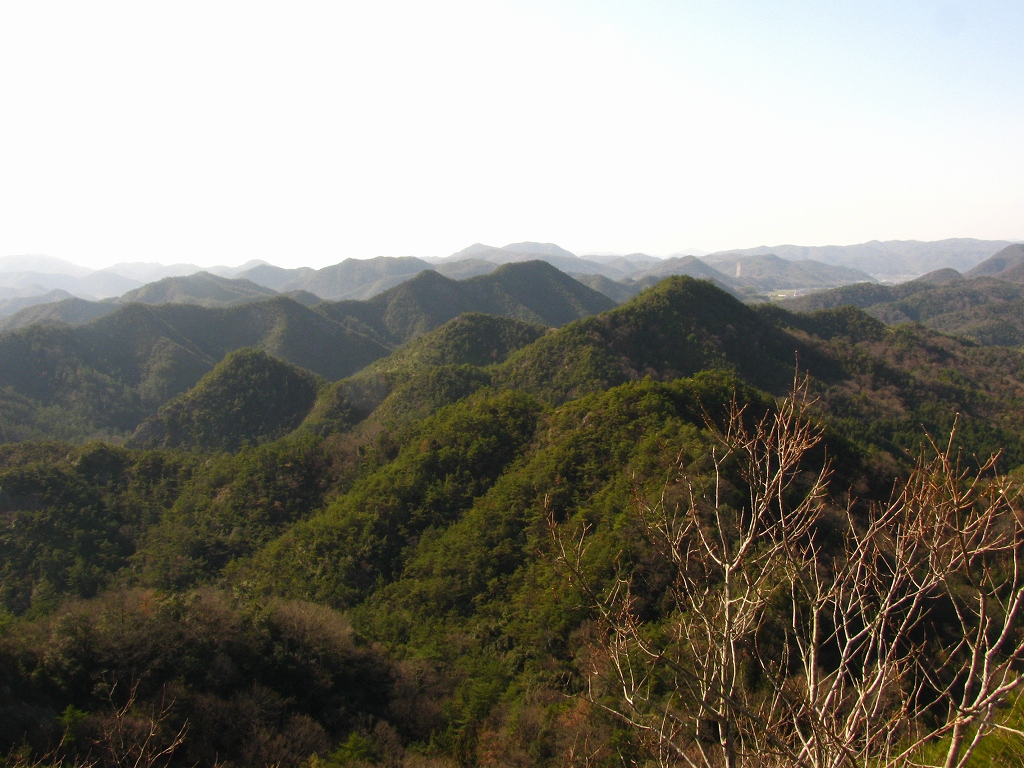 e0024081_18133045.jpg