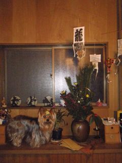 f0130894_2119129.jpg