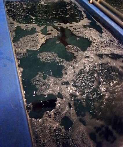 e0043700_0522877.jpg
