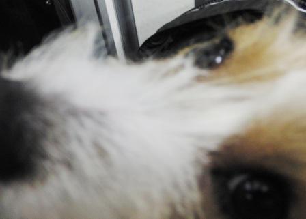 e0078510_14563190.jpg