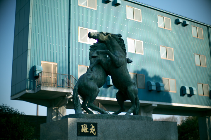 d0143011_23344681.jpg