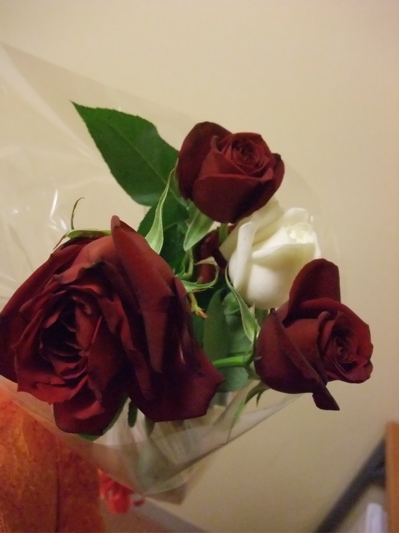 c0167813_12102242.jpg