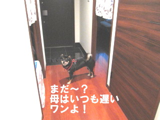 c0185516_13201720.jpg