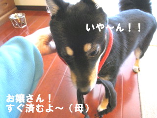 c0185516_1320765.jpg