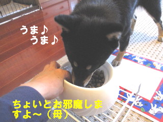 c0185516_137466.jpg