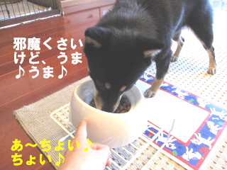 c0185516_137564.jpg