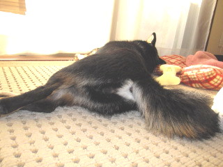 c0185516_14304666.jpg
