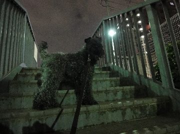 c0020830_13271172.jpg