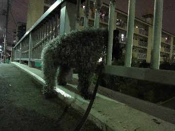 c0020830_13292225.jpg